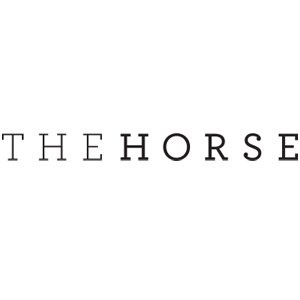 THE HORSE